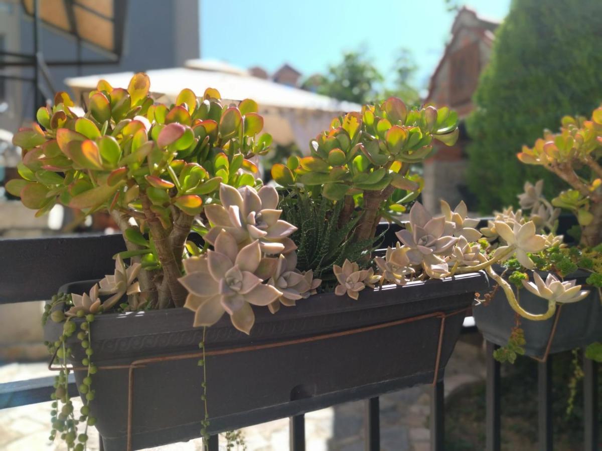 The House Apartments & Guest Rooms Ohrid Eksteriør bilde